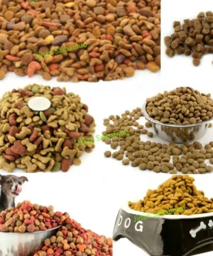 Nourriture pour chien